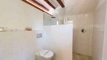 A bathroom with a toilet, a shower, and a glass-enclosed shower area.