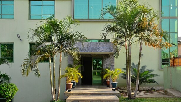 Un edificio con entrada de hormigón, palmeras en macetas y un camino pavimentado hacia la entrada.