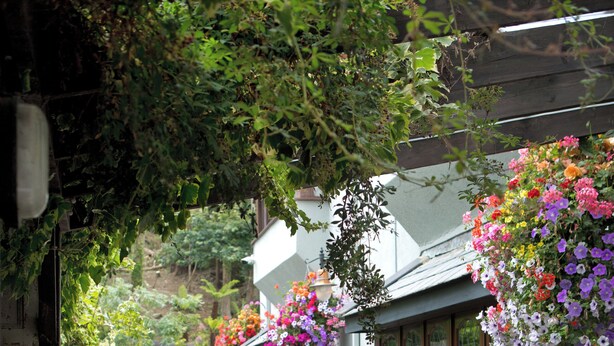 Een terras buiten met rieten meubilair en bloemenmanden.