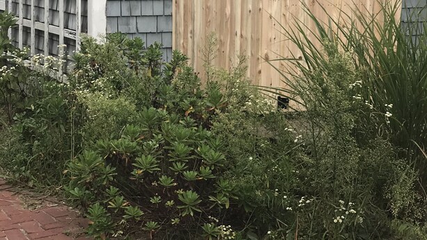 A wooden fence with a sign that reads "OPEN till Sunset." - Renovated Cottage with nice yard and homey interior (Edgartown)