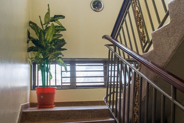 A staircase with a metal railing, a potted plant, and a window with blinds.