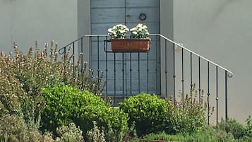 Jardín