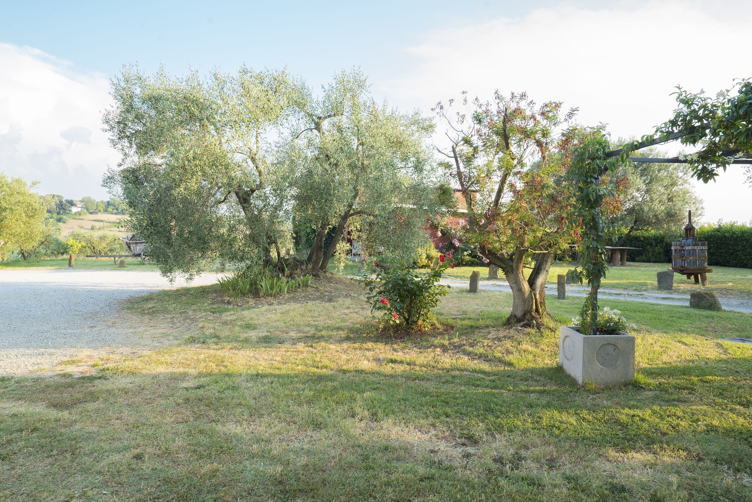 Un espace verdoyant avec des arbres et un banc en pierre.