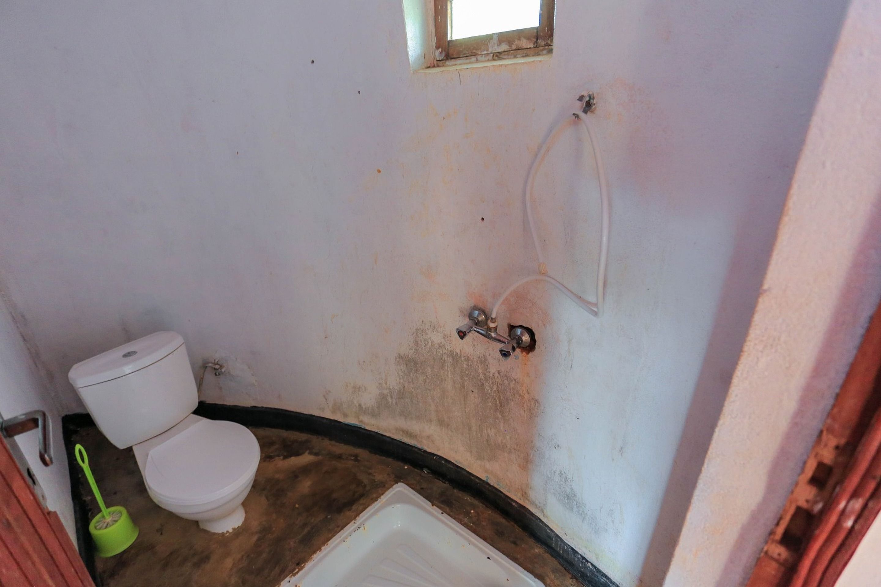 Um banheiro pequeno e com pouca luz, com um vaso sanitário branco, uma escova de limpeza verde e área de chuveiro.