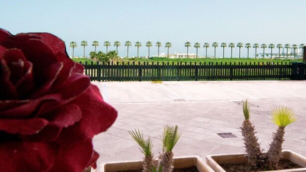 A paved area with a row of palm trees and a black fence in the background. - La Palma del Sol (Barletta)