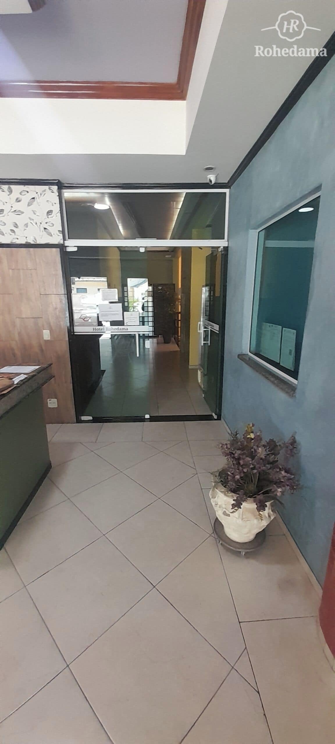 Zona de recepción de hotel con mostrador, una planta en maceta y vista al interior del hotel.
