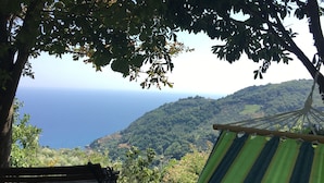 Una hamaca y un banco bajo un árbol con vistas a un paisaje costero.