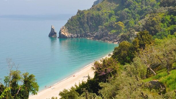 Un paisaje costero con playa, aguas turquesas cristalinas y abundante vegetación.