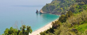 Un paisaje costero con playa, aguas turquesas cristalinas y abundante vegetación.