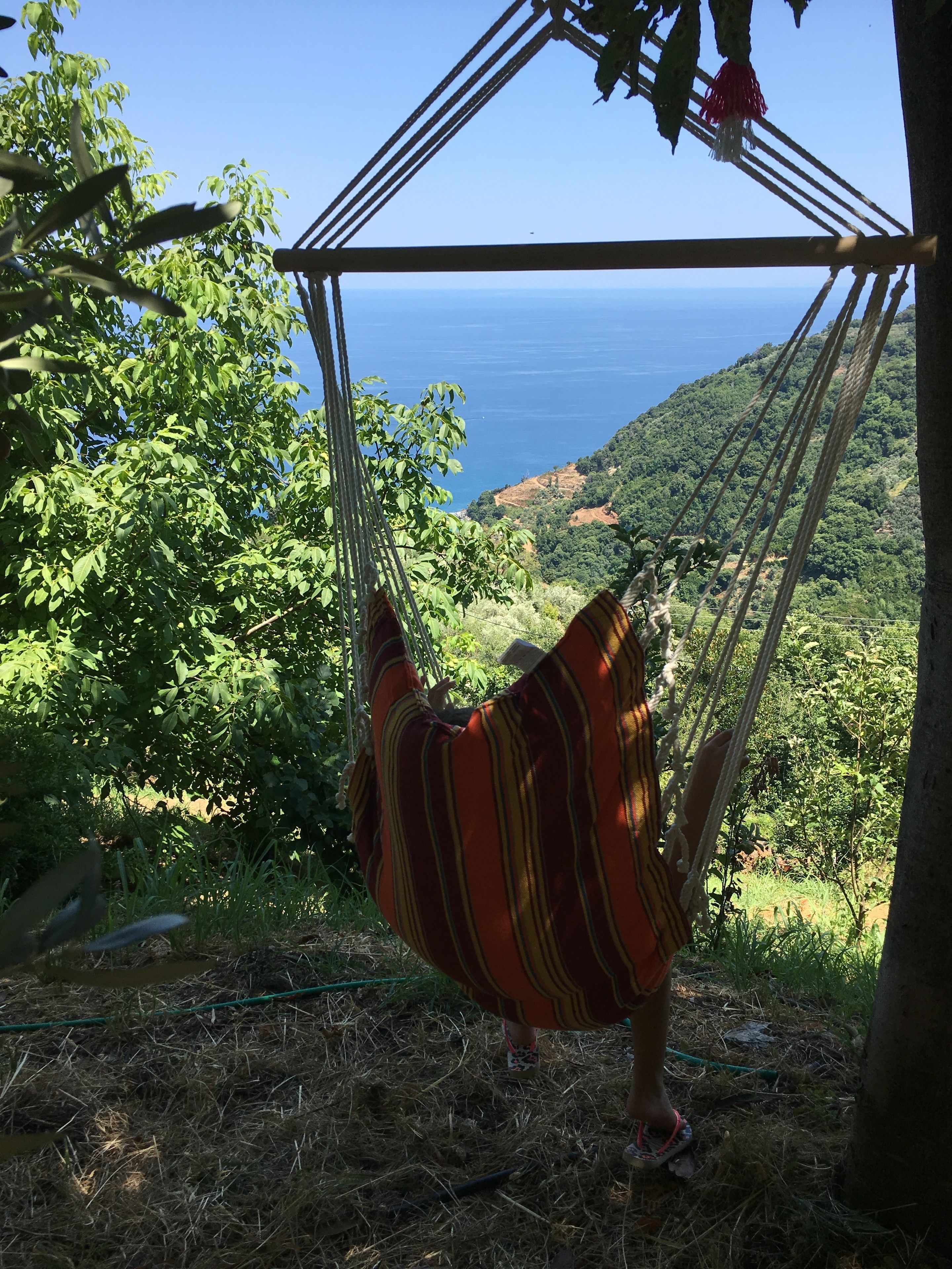 Un hamac suspendu à une structure en bois, offrant une vue sur un paysage côtier.