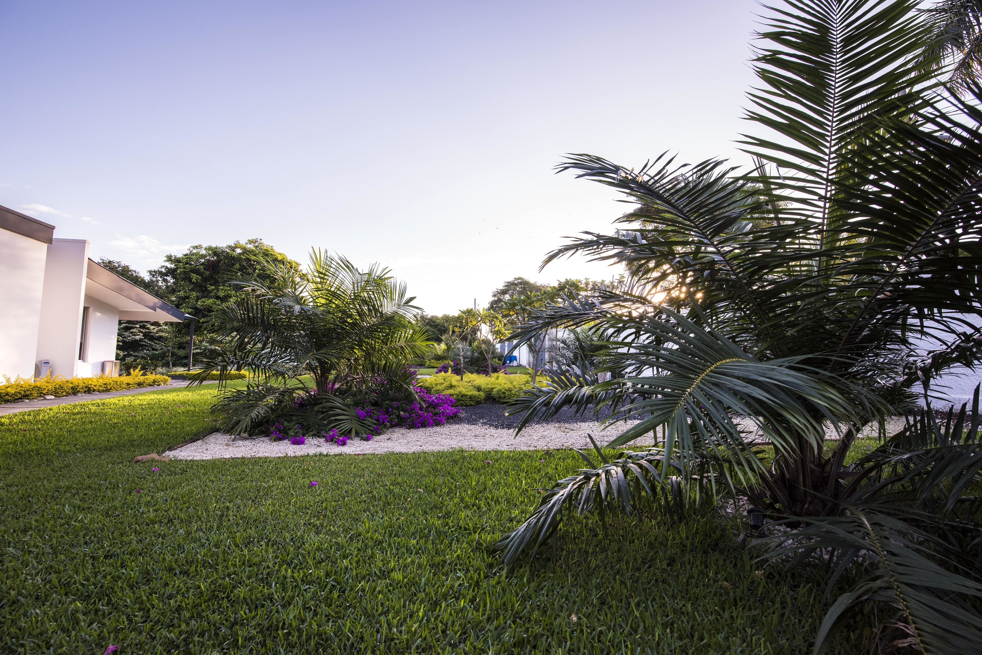 A well-maintained garden with a variety of plants and a modern building in the background.
