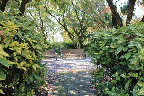 Appartement, 1 chambre | Vue sur le jardin