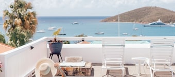 At Home in the Tropics