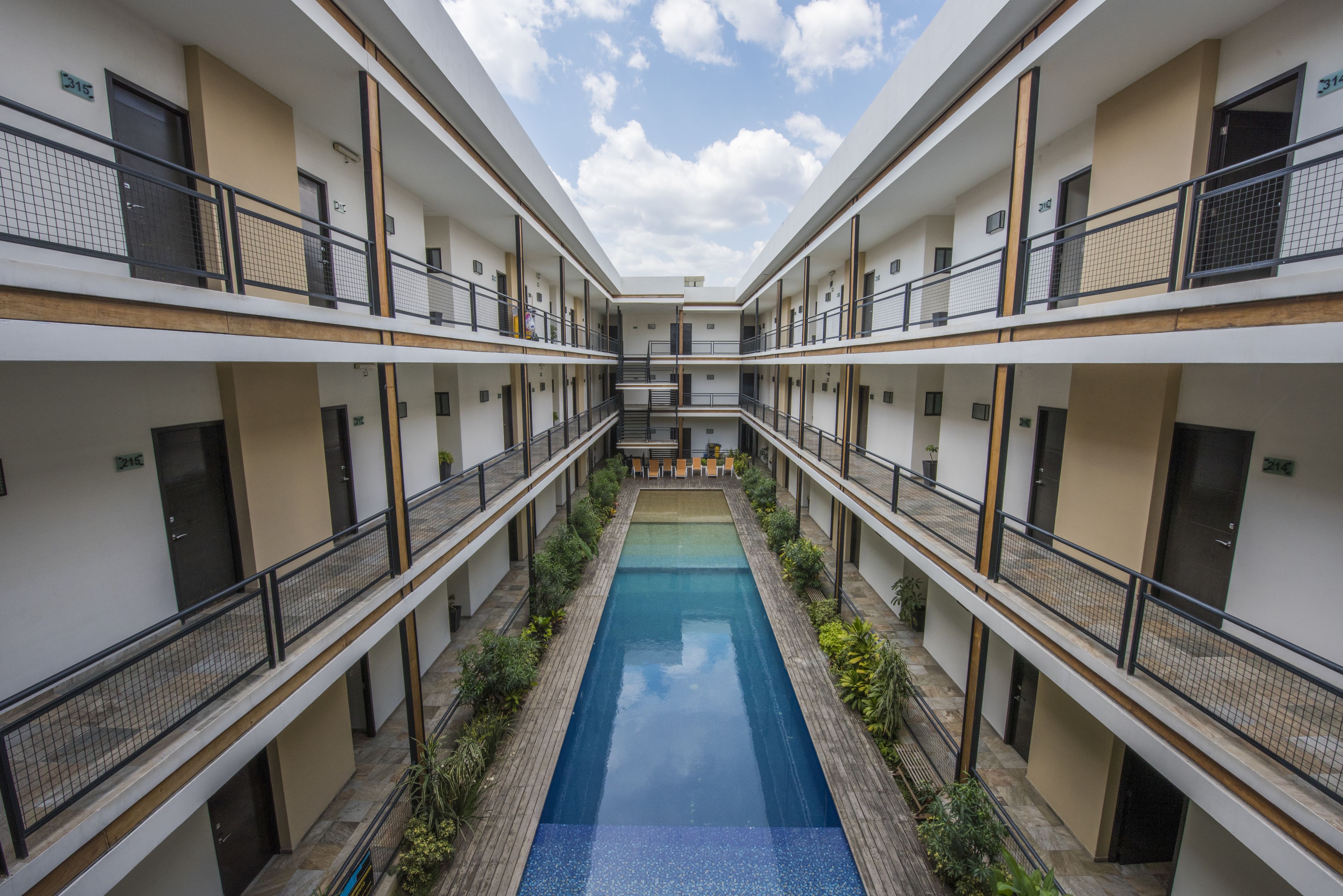 Outdoor pool, sun loungers