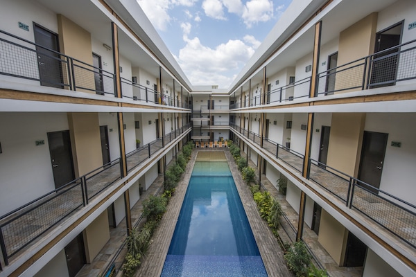 Outdoor pool, sun loungers