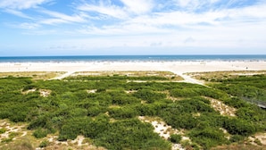 A beach with a clear sky, sandy shore, and dense green vegetation in the foreground.