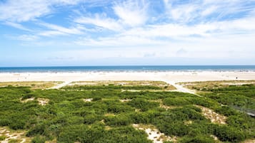 Beach/ocean view