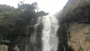 Een waterval stort naar beneden over een rotswand, omringd door weelderige vegetatie.
