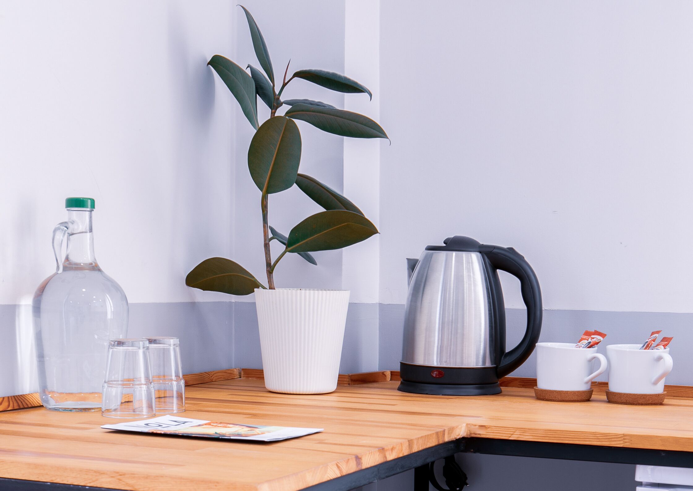 Una encimera de cocina con una cafetera, una planta en maceta, una jarra de vidrio y dos tazas.