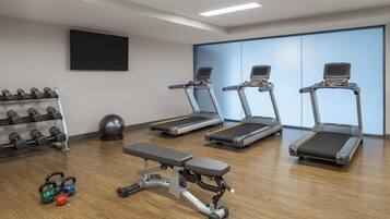 A gym with treadmills, dumbbells, kettlebells, and a bench.