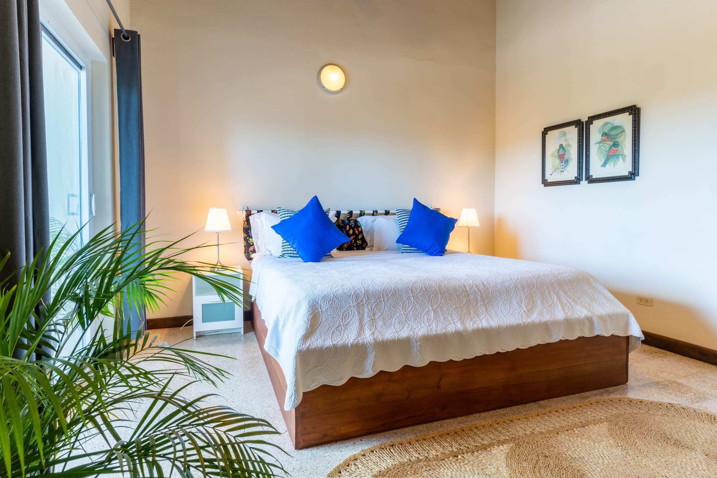 A bedroom with a wooden bed, white bedding, two blue pillows, a bedside lamp, a large window with curtains, and a wall-mounted picture.