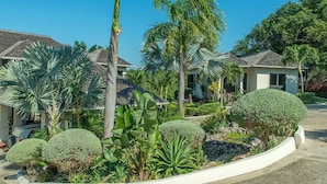 A residential area with houses, palm trees, and a well-maintained garden with various plants and a stone pathway. - Hospitality Expert SF (Montego Bay)