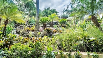 Jardim