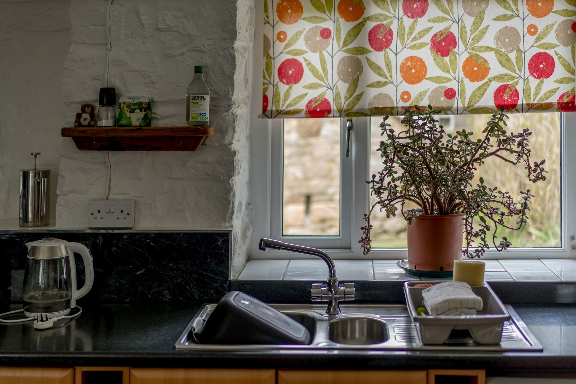 Una cocina con un fregadero, una tetera, una planta en maceta y una ventana con vistas.