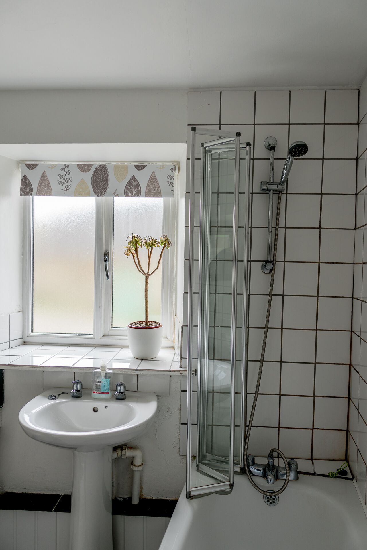 Une salle de bain avec un lavabo blanc, une fenêtre agrémentée d’une plante et une douche séparée par des parois en verre.