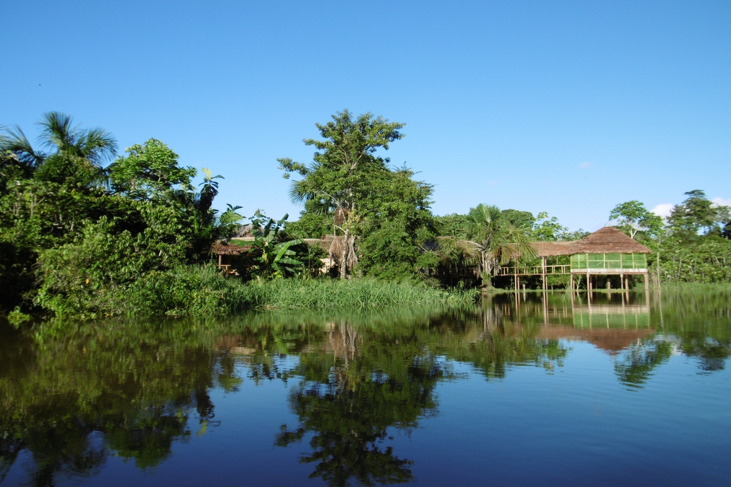 A house with a thatched roof, surrounded by lush greenery and a calm body of water reflecting the structure.