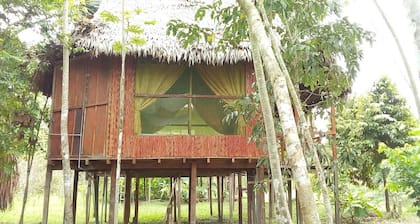Antares Amazon Lodge