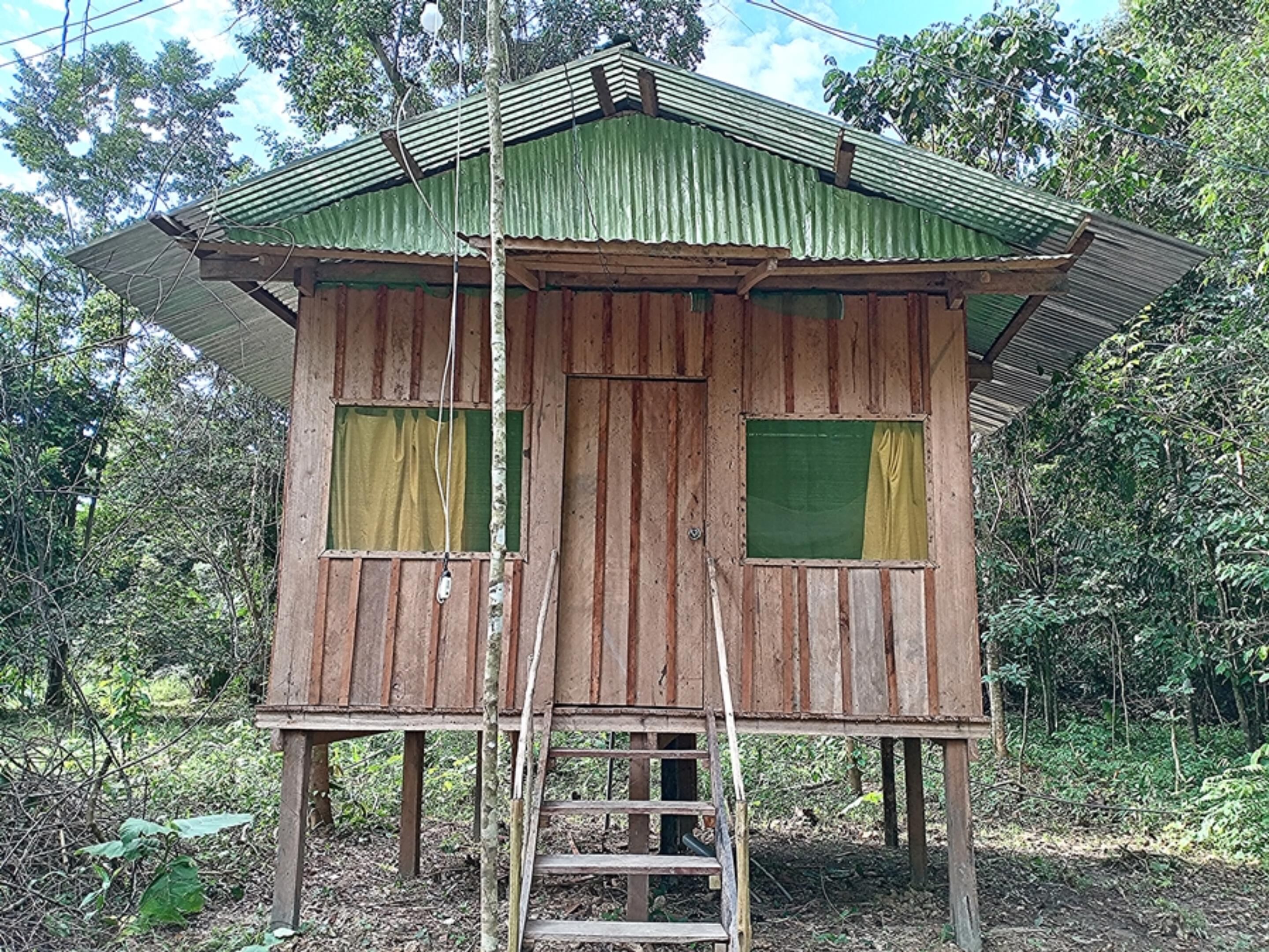 A wooden cabin with a green roof and two windows, surrounded by dense forest.