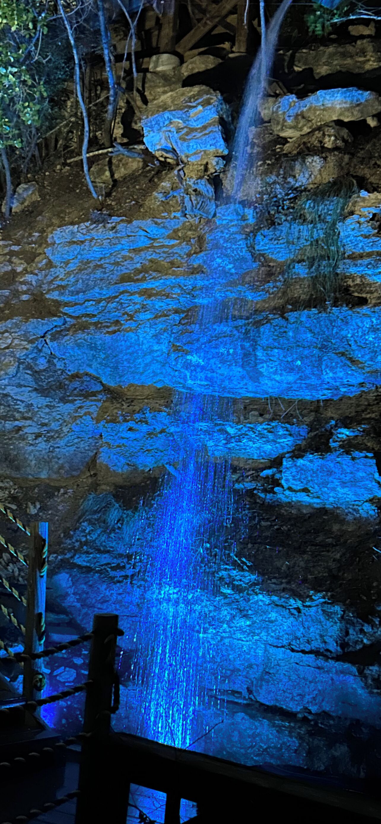 Divers
