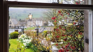 A view through a window of a garden with a variety of plants and flowers, a street lamp, and buildings in the background.