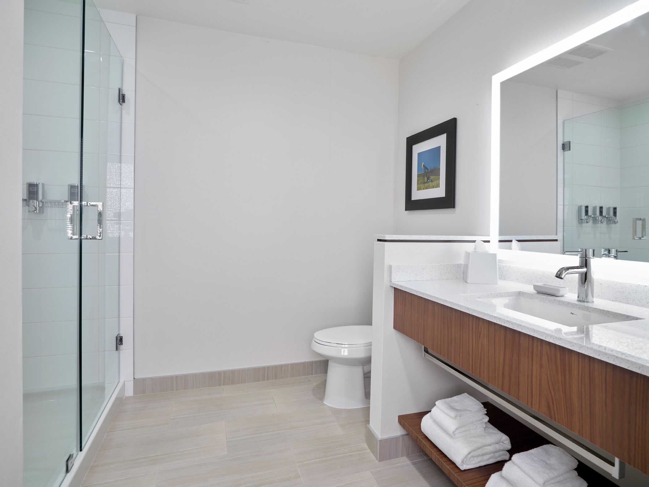 executive suite, 1 king bed with sofa bed, non smoking | bathroom | hair dryer, towels