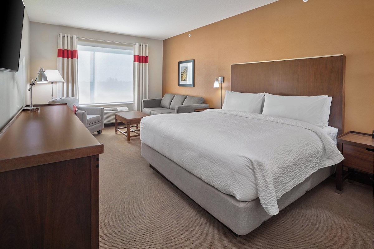 A hotel room with a large bed, a desk, a chair, a sofa, and a window with curtains.