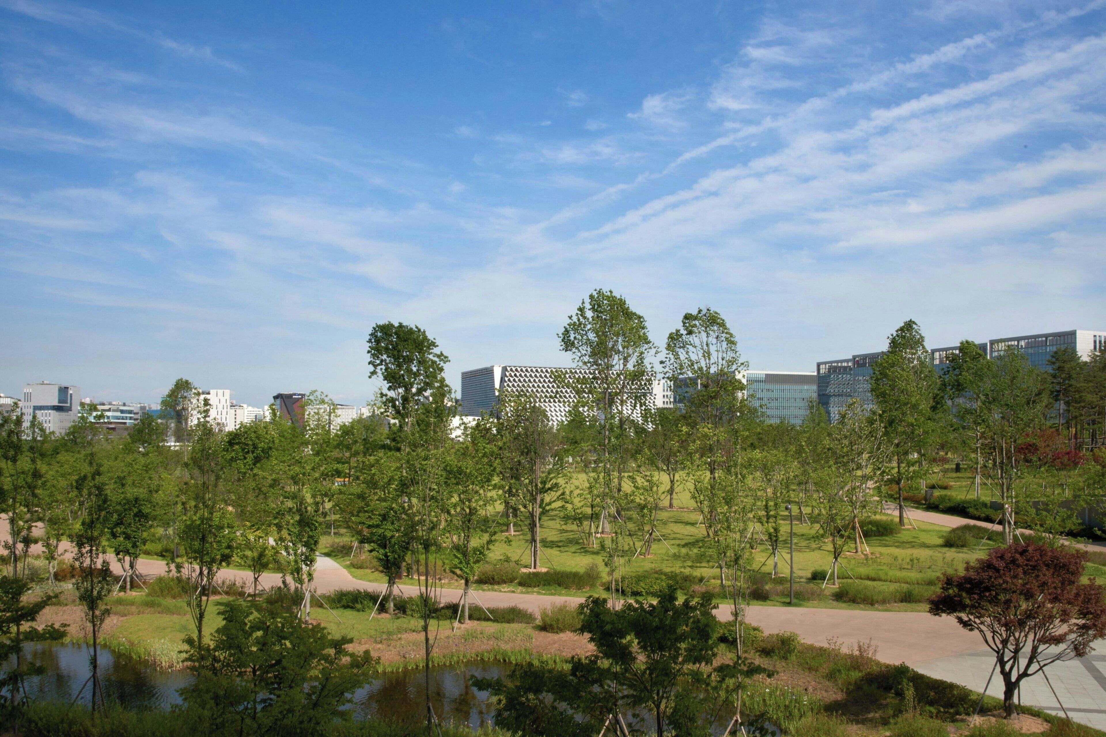 Een park met bomen, een vijver en moderne gebouwen op de achtergrond.