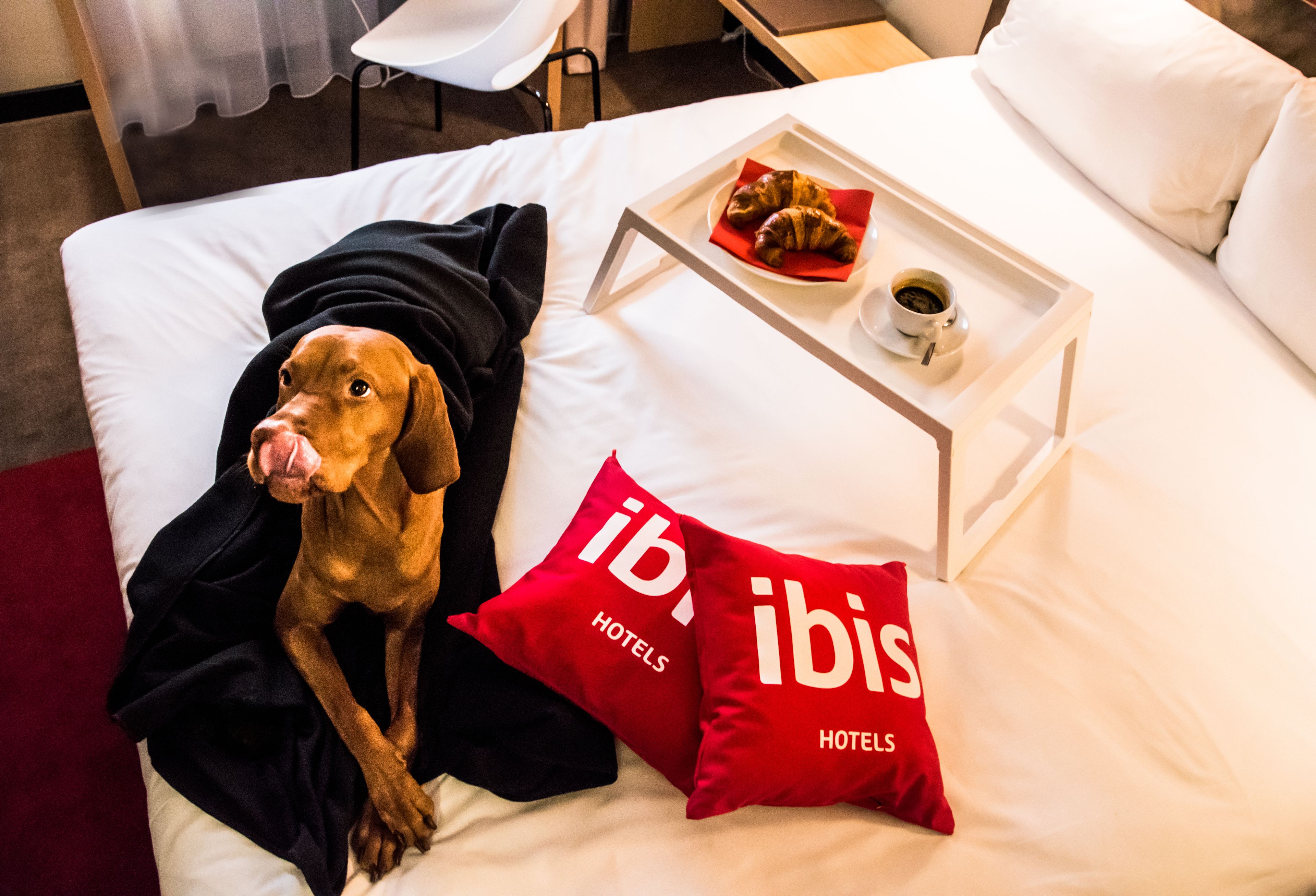 Foto - ibis Vilnius Centre