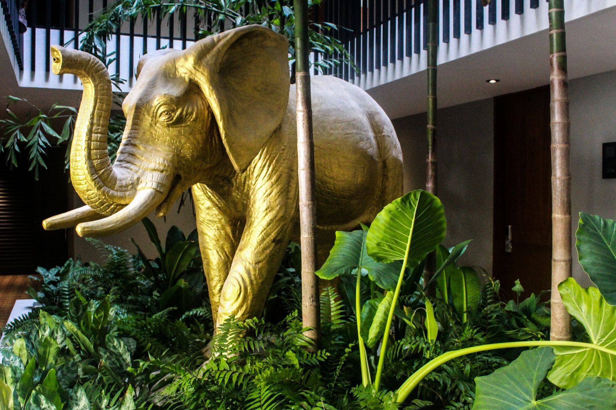 Áreas de la propiedad