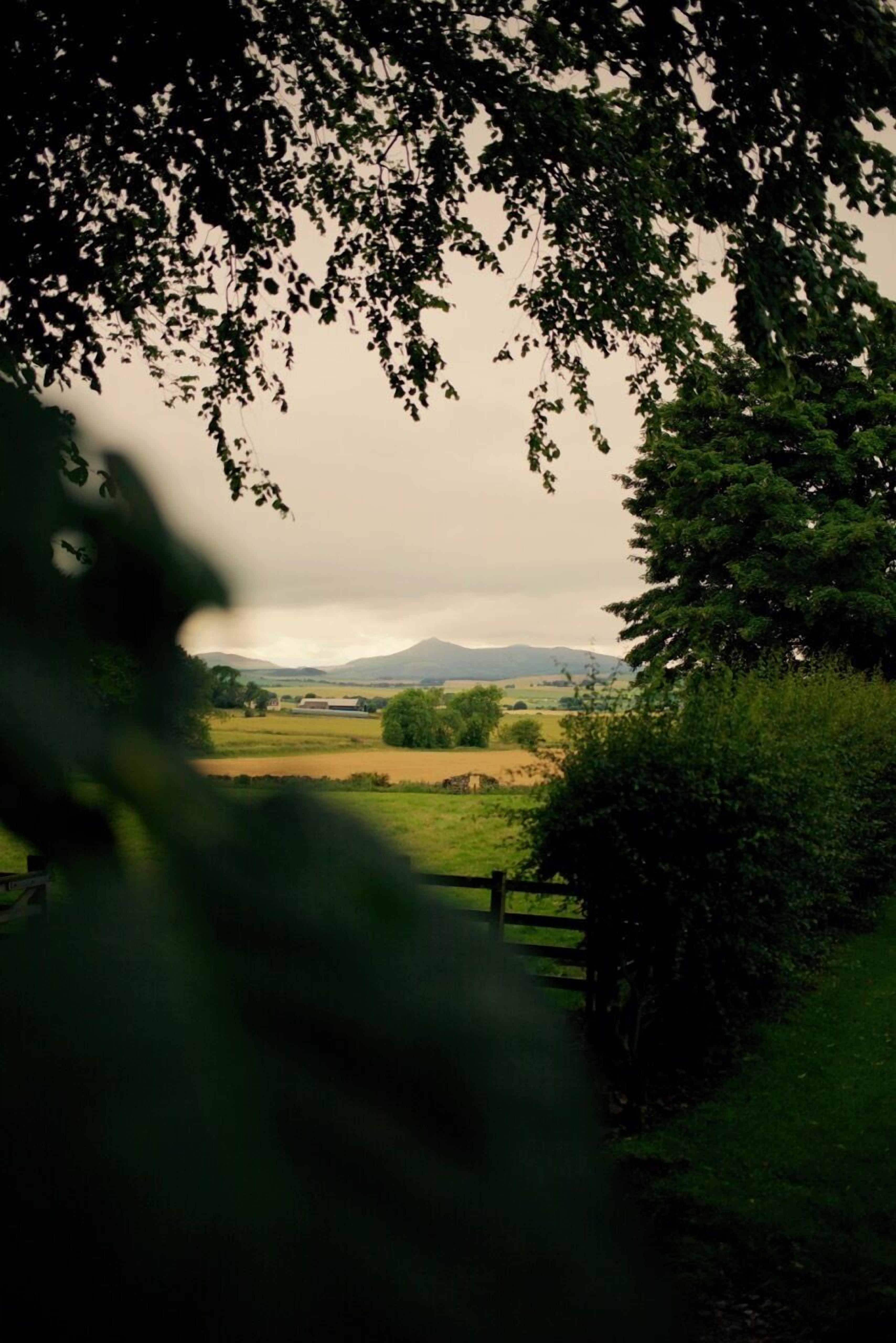 1-Bedroom Lodge (Seton) | View from room