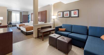 Comfort Suites Denver International Airport