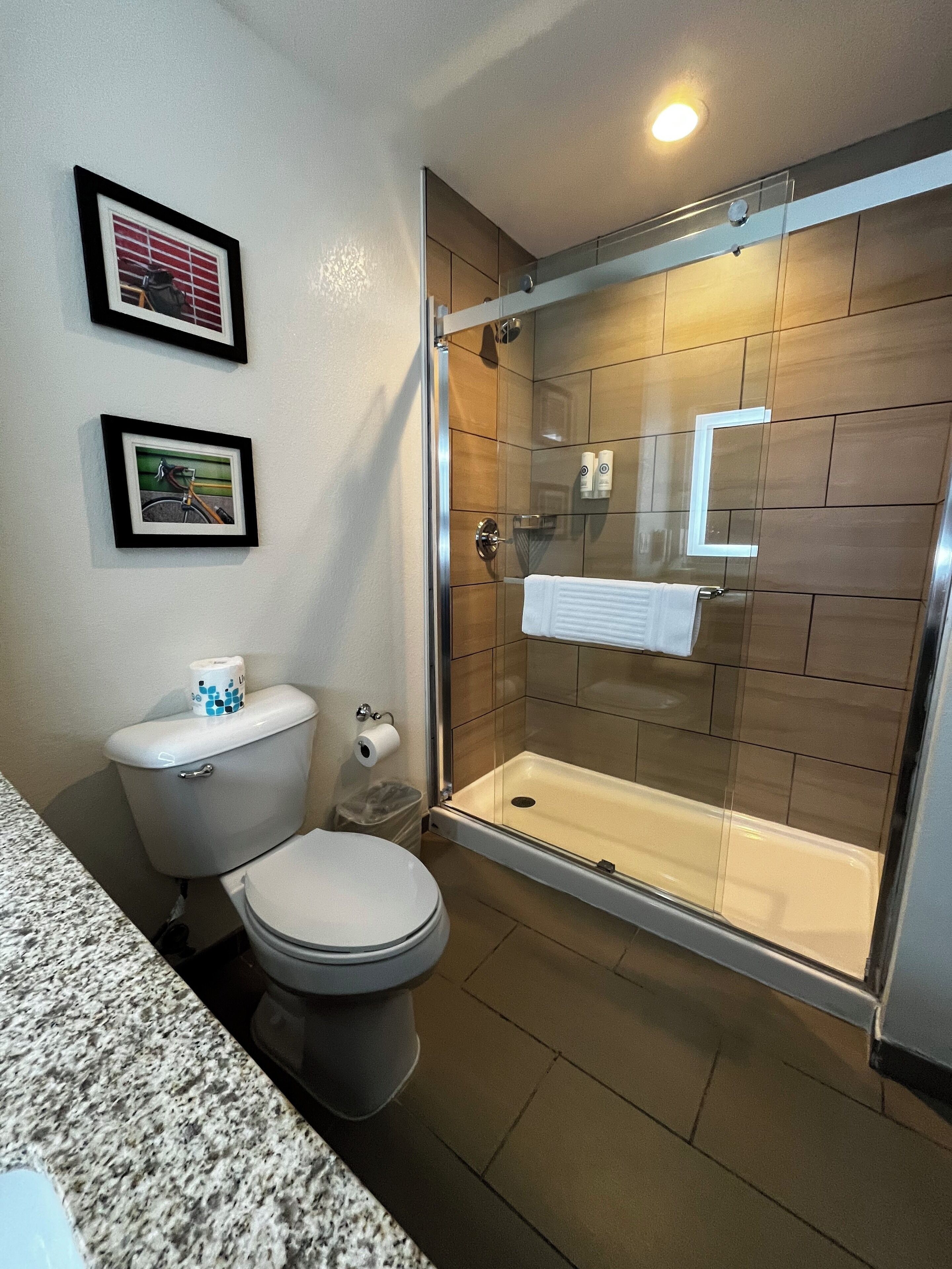 free toiletries, hair dryer, towels