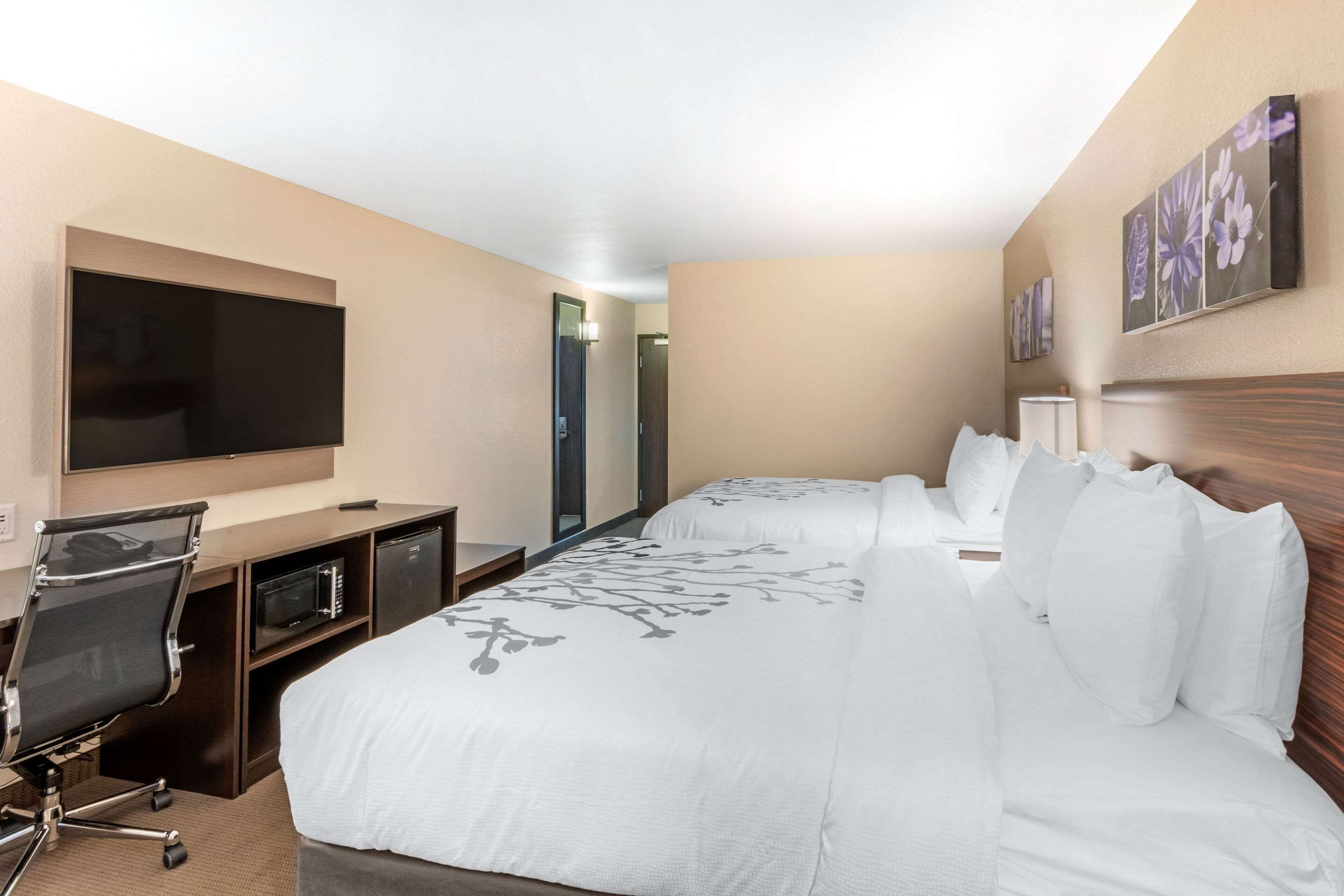 Habitación de hotel con una cama grande, un escritorio con televisor de pantalla plana, un microondas y una silla.