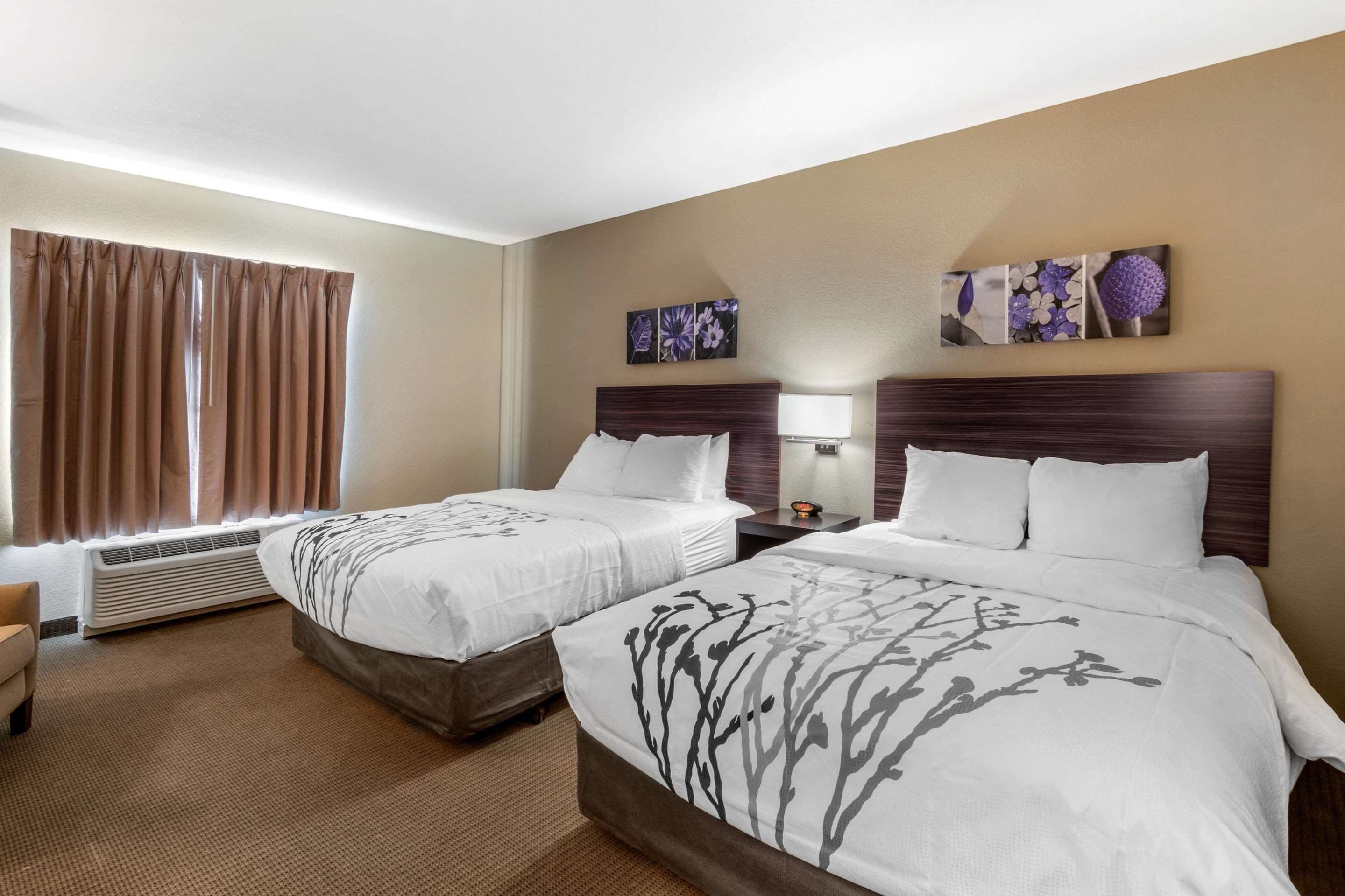 A hotel room with two beds, a large window with curtains, an air conditioning unit, a wall-mounted artwork, and a nightstand with a lamp.