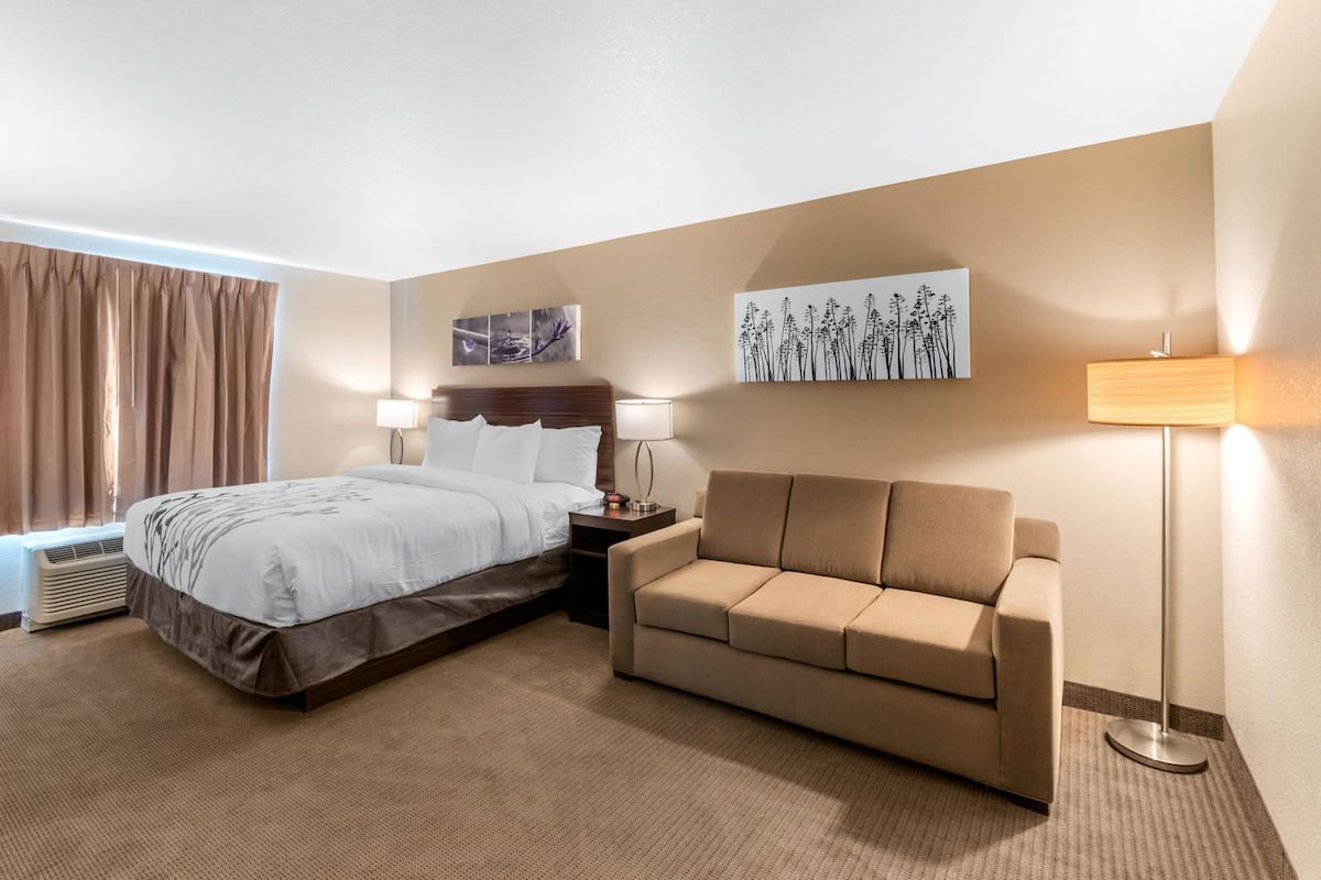 A hotel room with a bed, a sofa, a lamp, and artwork on the wall.