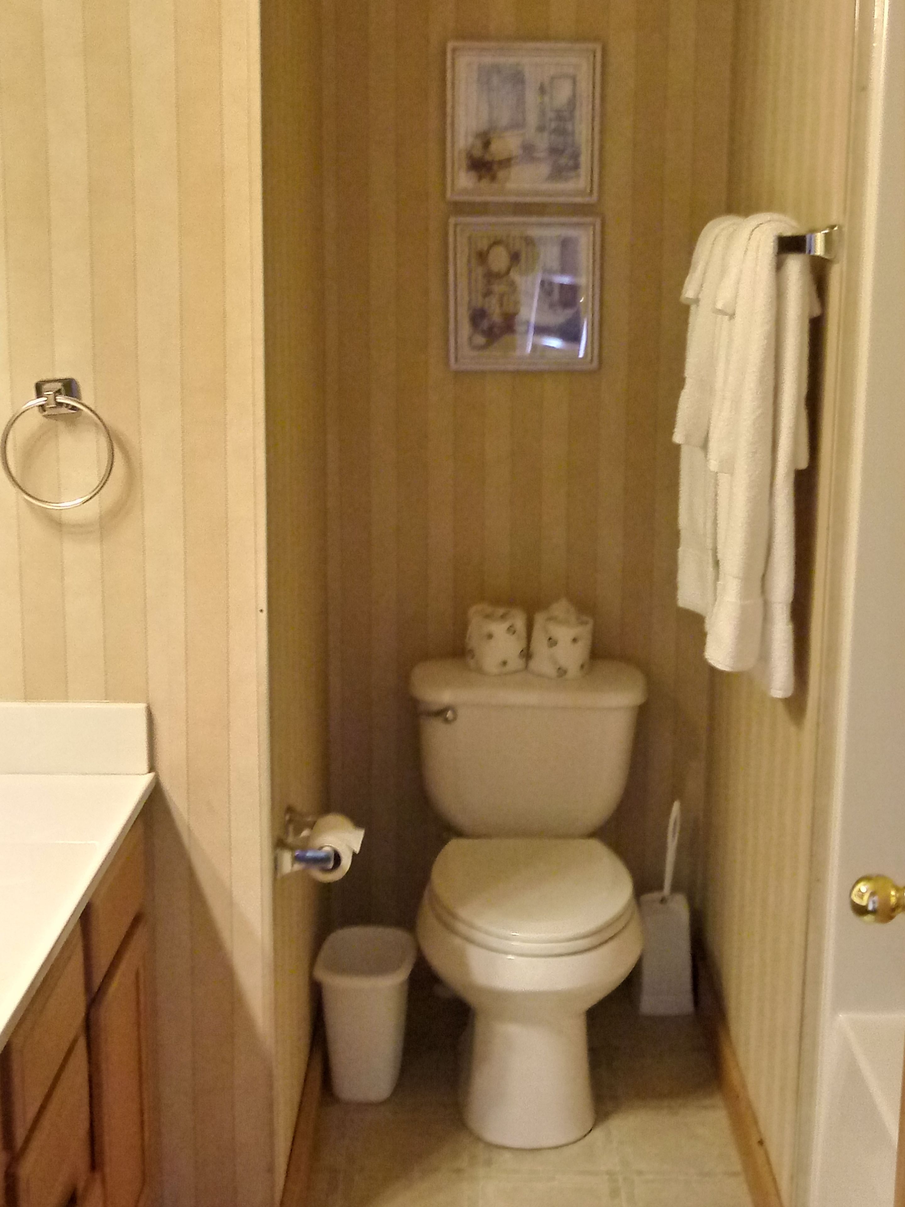 Ein schmales Badezimmer mit Toilette, Mülleimer und Handtuchhalter.