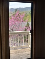 Condo, Multiple Beds, Non Smoking, Mountain View | Balcony view