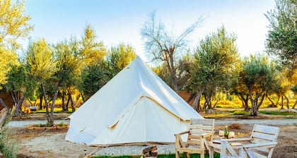 Guadalupe Valle Glamping