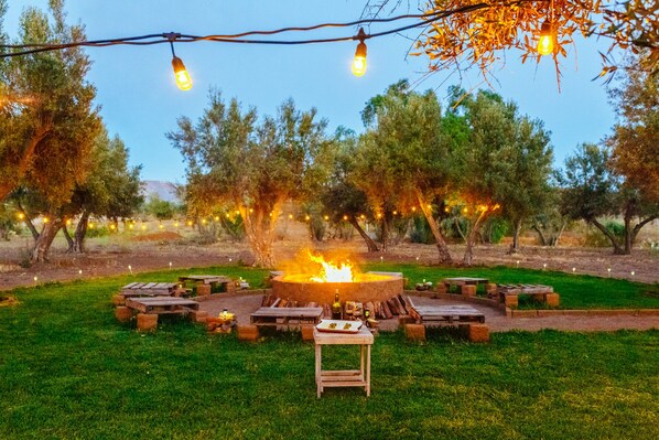 Property grounds - Guadalupe Valle Glamping (Valle de Guadalupe)