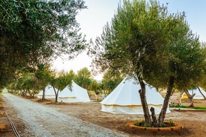 Property grounds - Guadalupe Valle Glamping (Valle de Guadalupe)